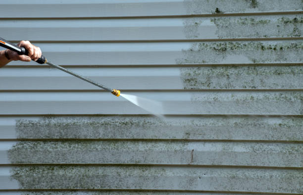 Best Residential Pressure Washing Services  in Clio, MI
