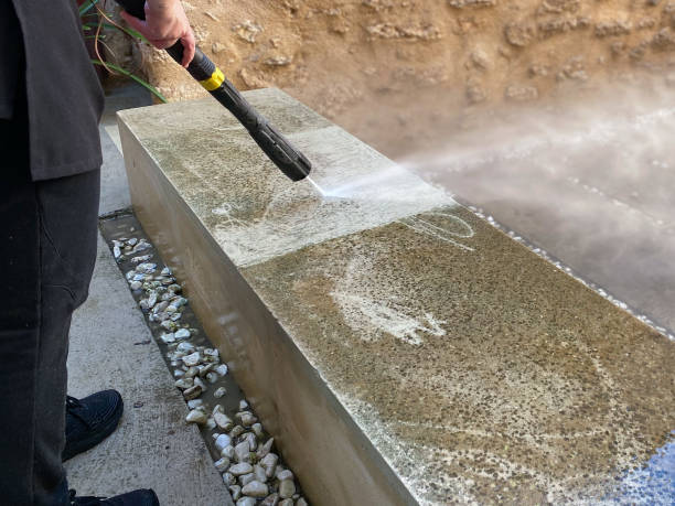 Best Pressure Washing Siding  in Clio, MI