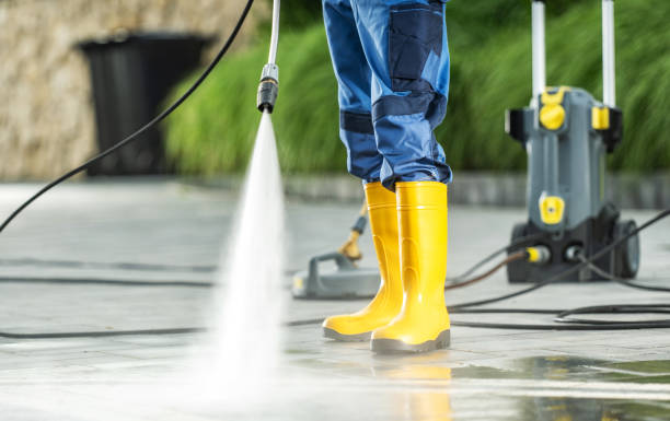 Best Local Pressure Washing Services  in Clio, MI