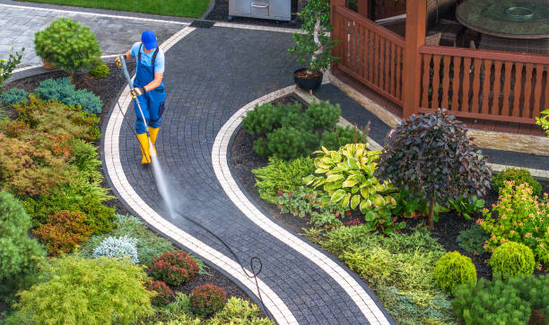  Clio, MI Pressure Washing Pros