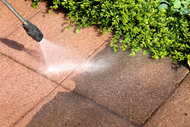 Best Best Pressure Washing Companies  in Clio, MI